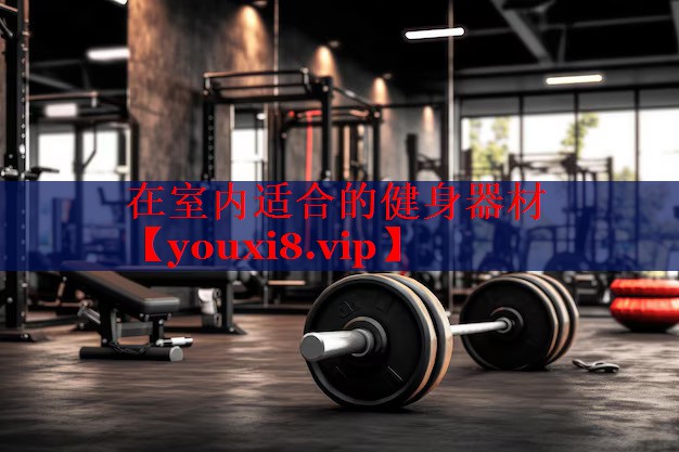 在室内适合的健身器材