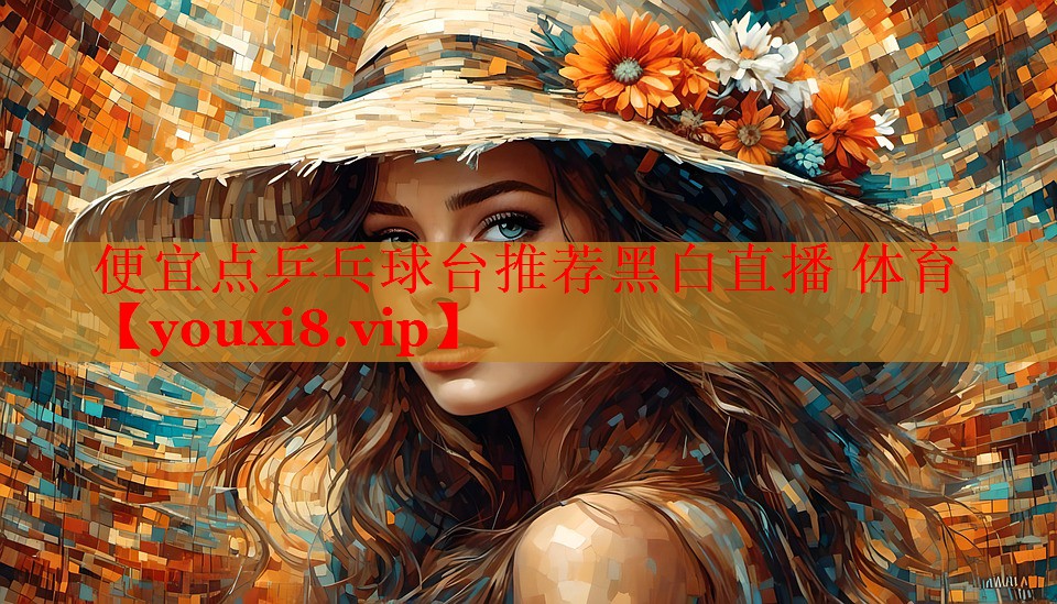 便宜点乒乓球台推荐黑白直播 体育