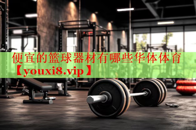 便宜的篮球器材有哪些华体体育
