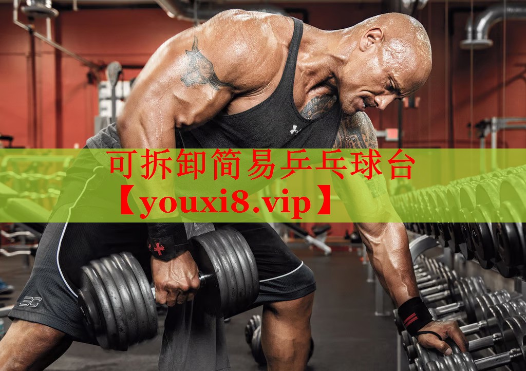 可拆卸简易乒乓球台