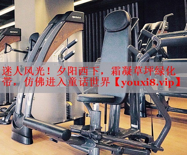 迷人风光！夕阳西下，霜凝草坪绿化带，仿佛进入童话世界