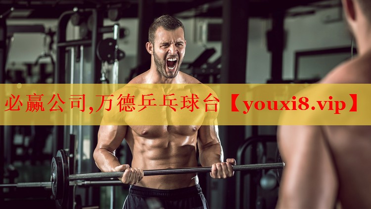 万德乒乓球台