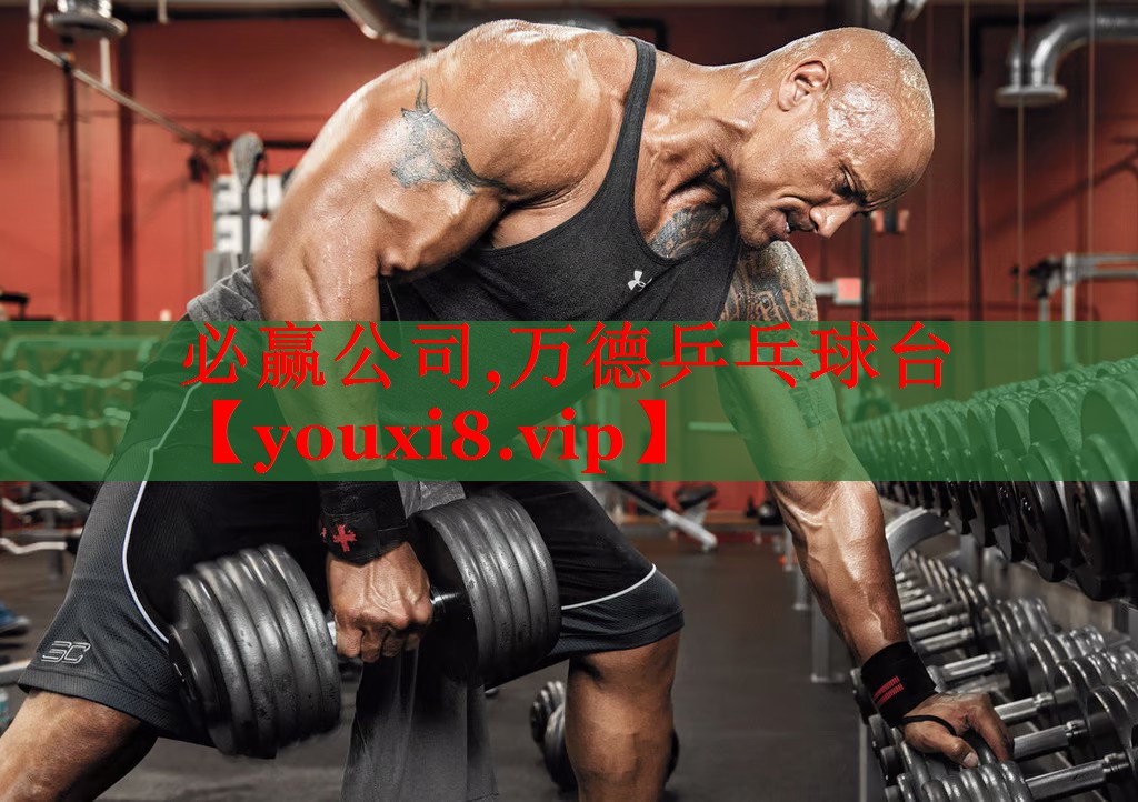 万德乒乓球台