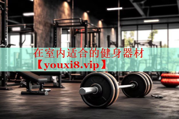 在室内适合的健身器材