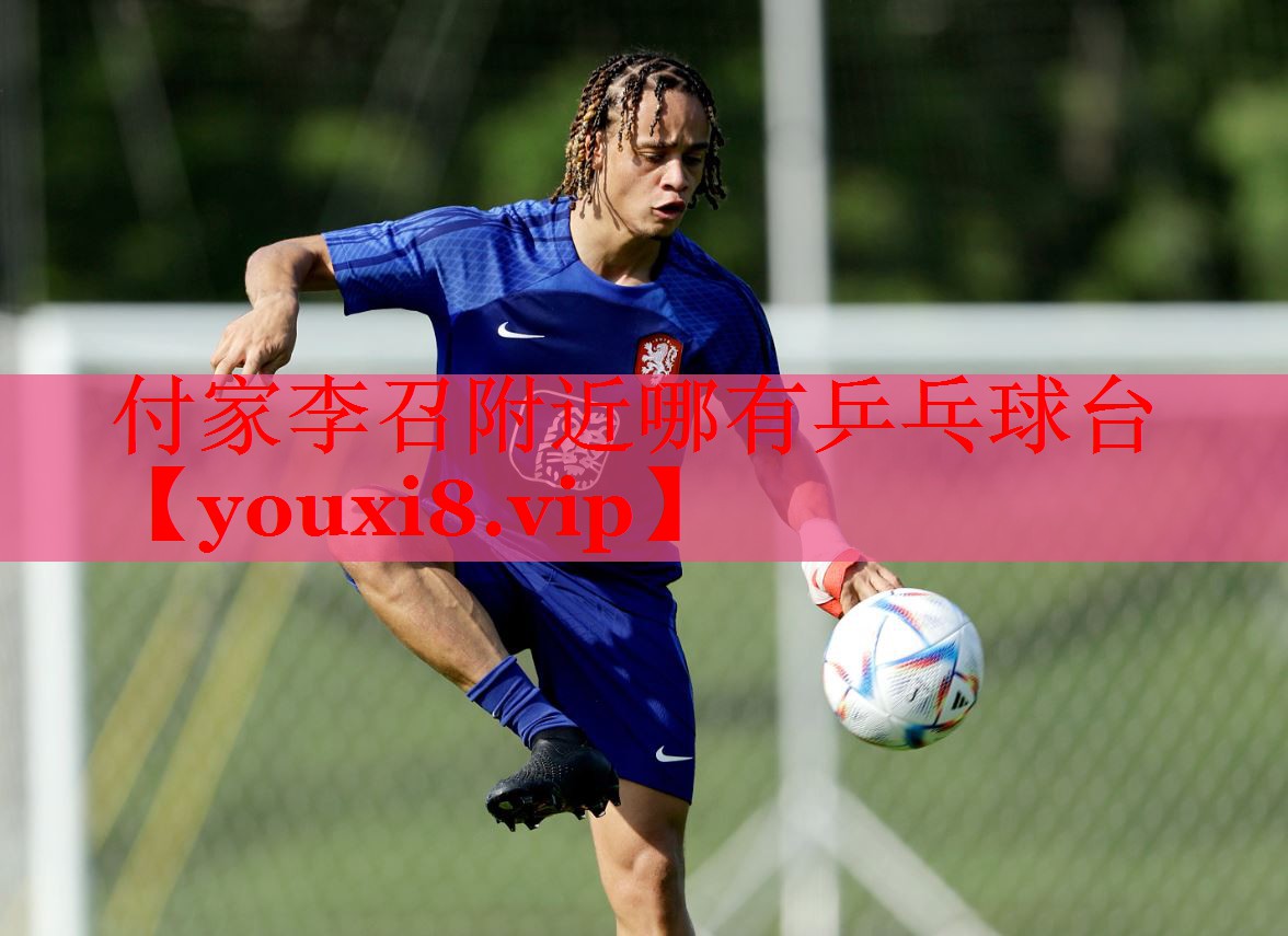 付家李召附近哪有乒乓球台
