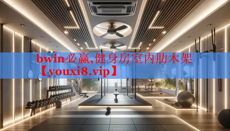 健身房室内肋木架